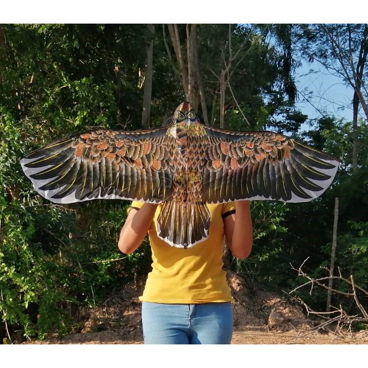 (พร้อมส่ง) ว่าว ว่าวนกอินทรีย์ ว่าวไล่นก ว่าวไล่ศัตรูพืช ขนาด 110ซม. เเถมเชือก - รูปที่ 3