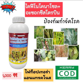 อะซอกซีสโตรบิน + ไดฟีโนโคนาโซล (ขนาด 1000 ซีซี)สารป้องกันกำจัดเชื้อราประสิทธิภาพสูง ด้วยสารออกฤทธิ์สองชนิด