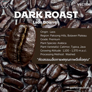 VECTOR : เมล็ดกาแฟคั่วเข้ม 1 กก (Dark roast) อราบิก้า 100% เกรดพรีเมี่ยม