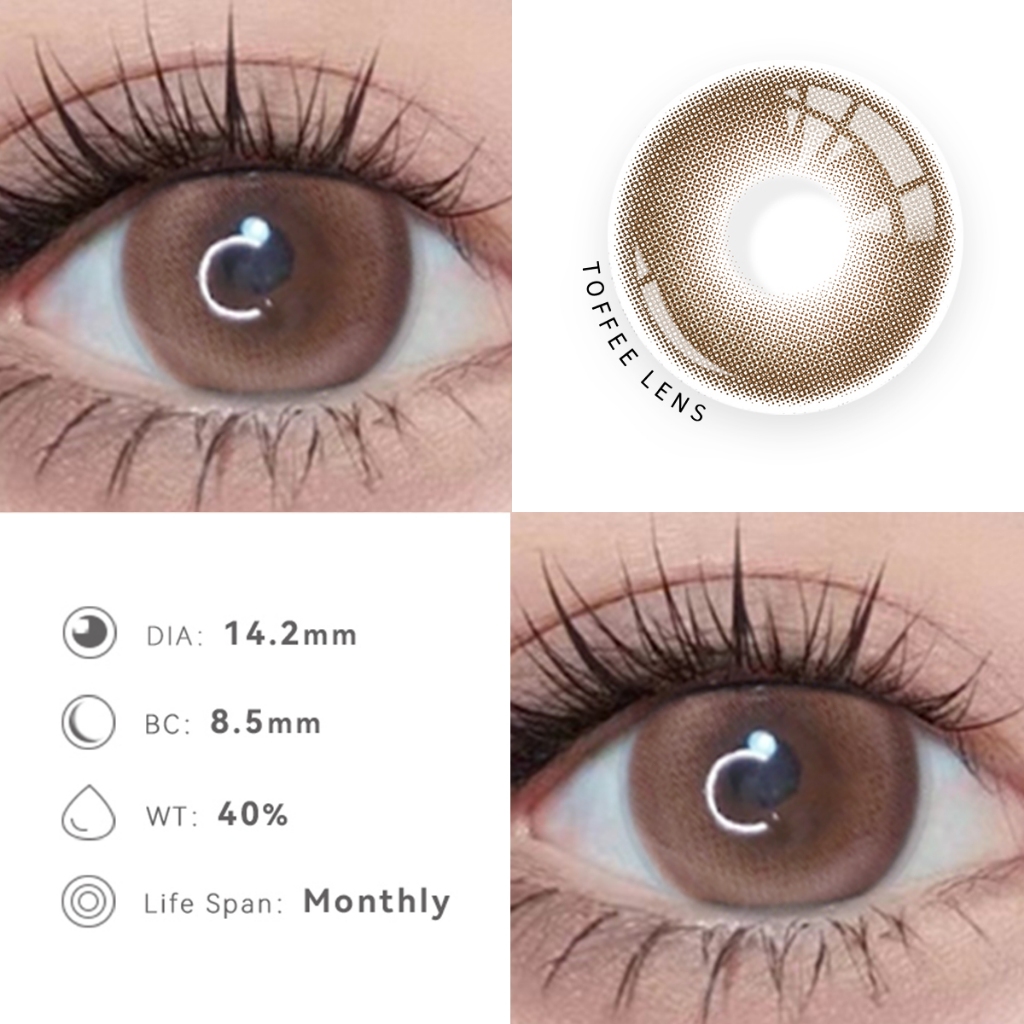 MIDROO [-100~-800]คอนแทคเลนส์สีน้ำตาล 🍭Toffee Brown คอนแทคเลนส์ รายเดือน ขนาดม รูปที่ 2
