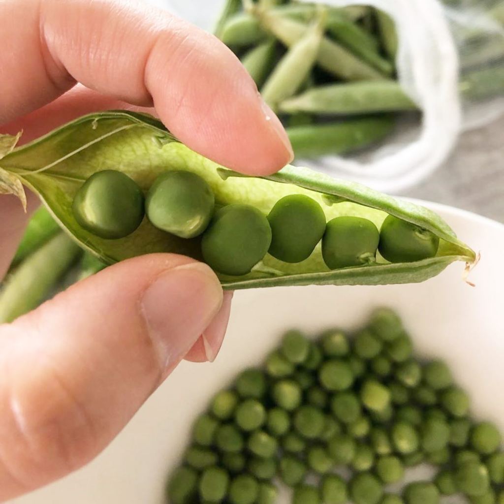 ลันเตาหวาน(ญี่ปุ่น) - เมล็ดโต-หวานกรอบ  50-60 เมล็ด/ซอง /// PPshop - รูปที่ 4