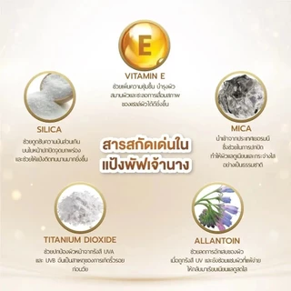 (ตลับ) Chaonang Powder Foundation SPF20/PA+++ แป้งเจ้านาง แป้งผสมรองพื้น เจ้านาง 10ก.