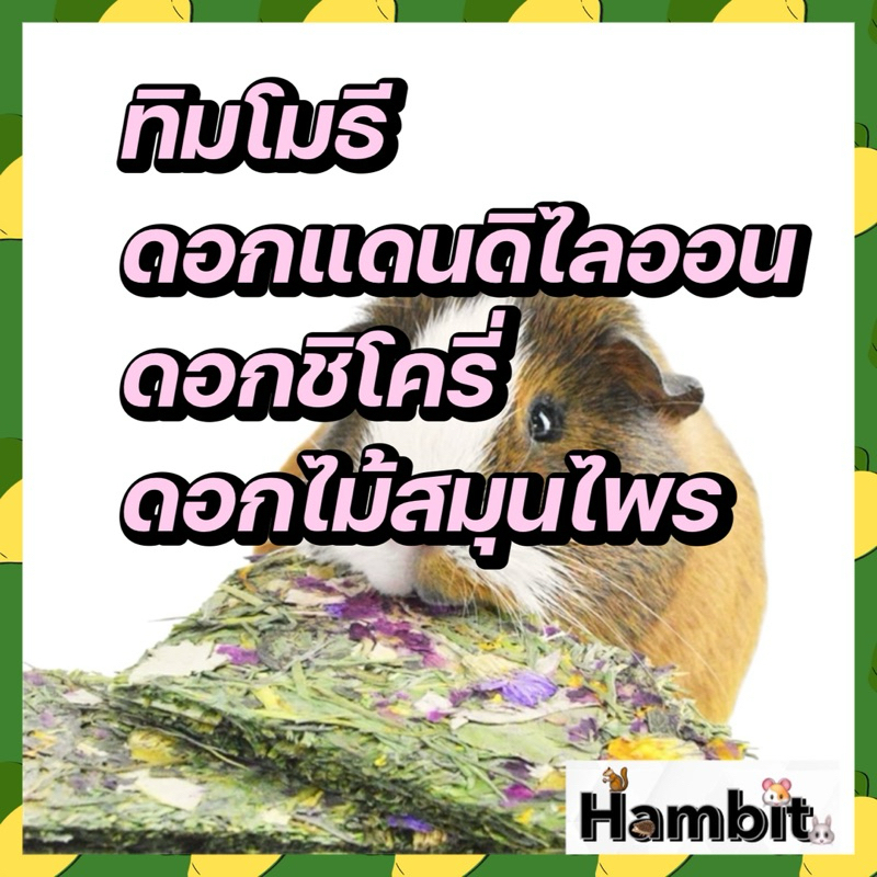 Hambit. หญ้าอบอัดแผ่นผสมดอกไม้สมุนไพร Organic 100% เหมาะสำหรับกระต่าย ชินชิล่า แพรี่ดอก ชูการ์ สัตว์ฟันแทะ