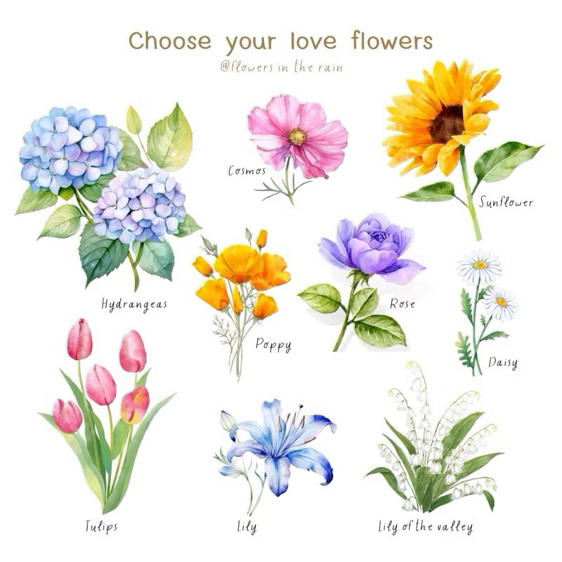 Flowers box gift กรอบรูปของขวัญ (จัดส่งภายใน 3-5 วัน หลังสั่งซื้อ) กรอบดอกไม้พร้อมภาพ/การ์ดอวยพร ขนาด 6×8 นิ้ว ราคา ถูกที่สุด ดีลบีเคเค แกลเลอรีภาพที่ 9
