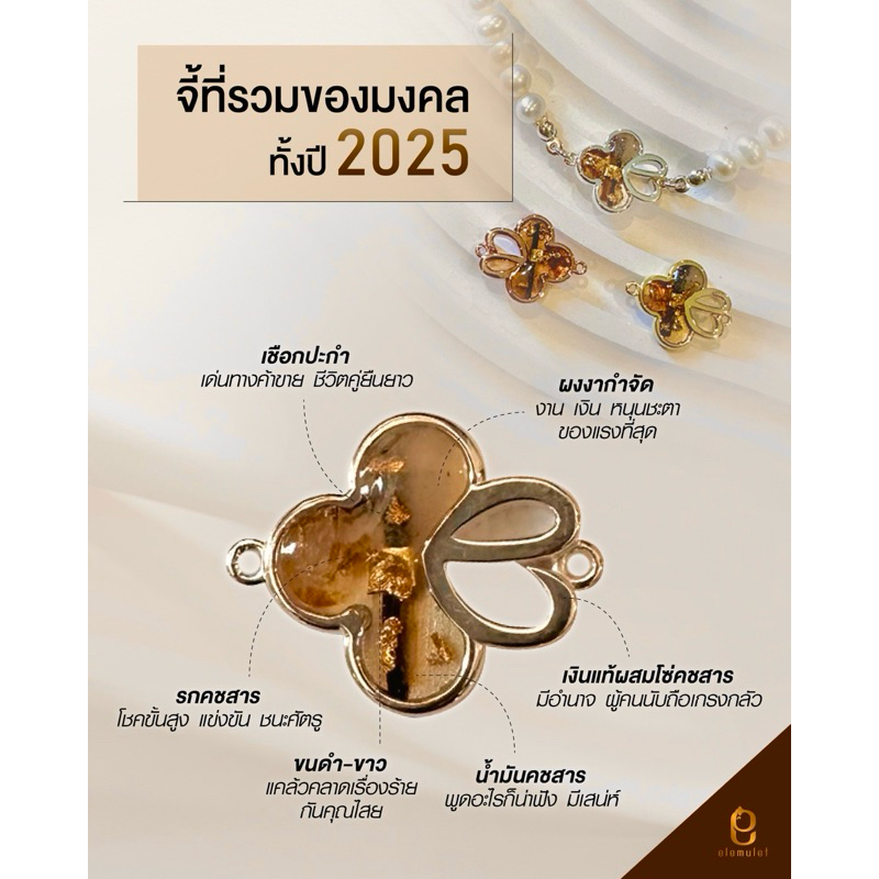 Elemulet จี้ใบมงคลรวม 6 อย่าง เงินแท้ผสมโซ่ช้าง