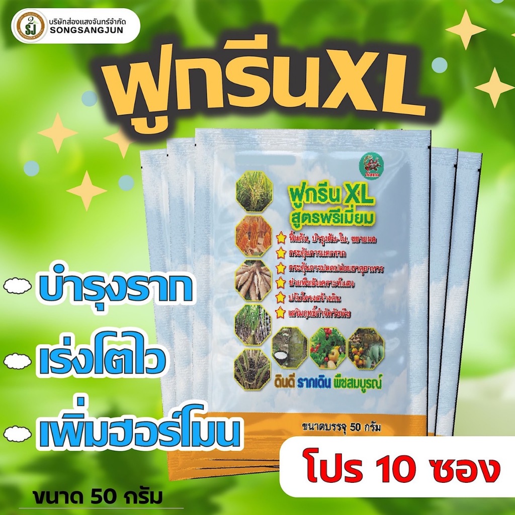 เชตสุดคุ้ม10ซอง ฮอร์โมนพืช เร่งราก แตกใบ แตกกอไว ใบเขียว ดินดี เพิ่มธาตุอาหาร บำรุงพืช ปุ๋ยน้ำ