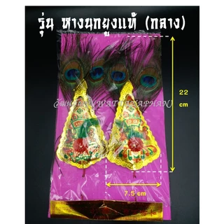 กิมฮวย หางนกยูง (แท้) กิมฮวยปักกระถางธูปเจ้าที่ มีให้เลือก 3 ขนาด