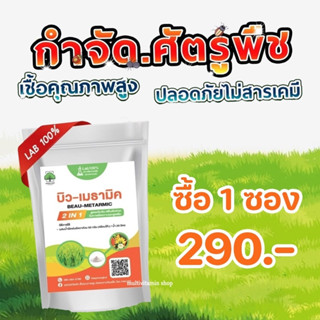 บิว-เมธามิค BEAU-METARMIC กำจัดศัตรูพืช ป้องกันศัตรูพืช สูตร…