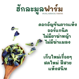 อัญชัน ออร์แกนิค 50 100 กรัม สีสวย ของใหม่ ดอกอัญชัน อัญชันแห้ง