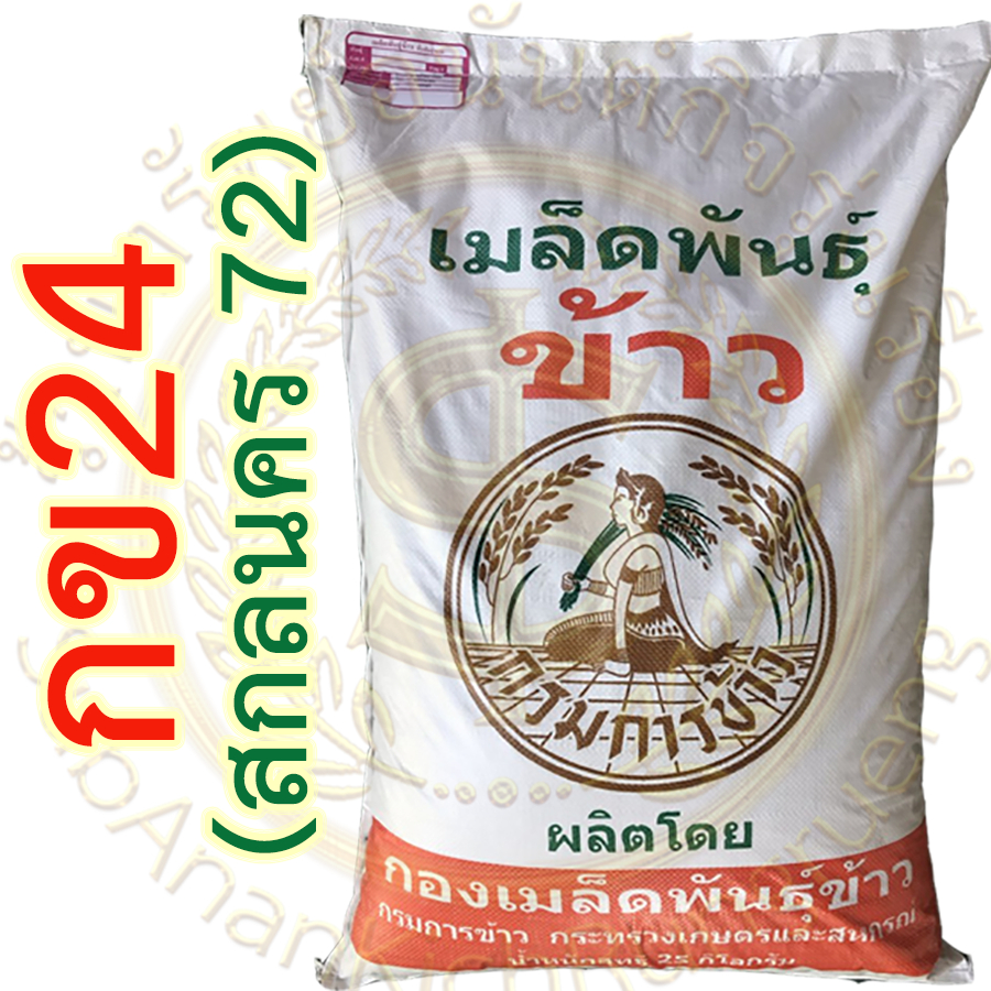 เมล็ดพันธุ์ข้าว กข24 (สกลนคร72) กรมการข้าว