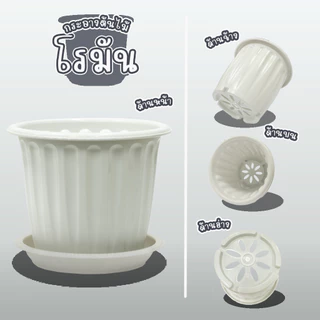 Go Dung Plastic กระถางต้นไม้ โรมัน ทรงกลม พร้อมจานรอง