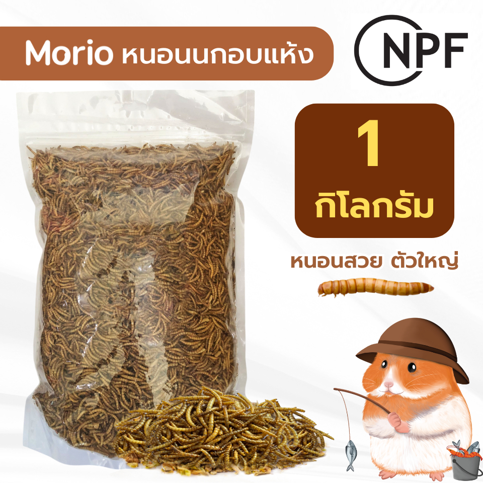 หนอนนกอบแห้ง 1 กิโลกรัม เสริมโปรตีนสัตว์เลี้ยง สำหรับแฮมเตอร์ นก เต่า หนู กระรอก