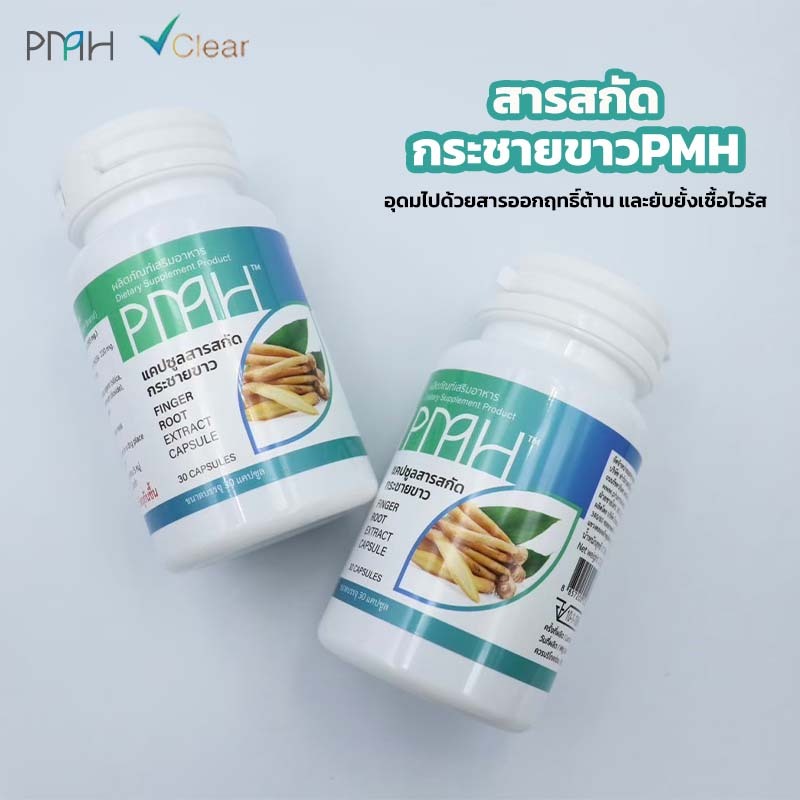 สารสกัดกระชายขาว PMH แคปซูล