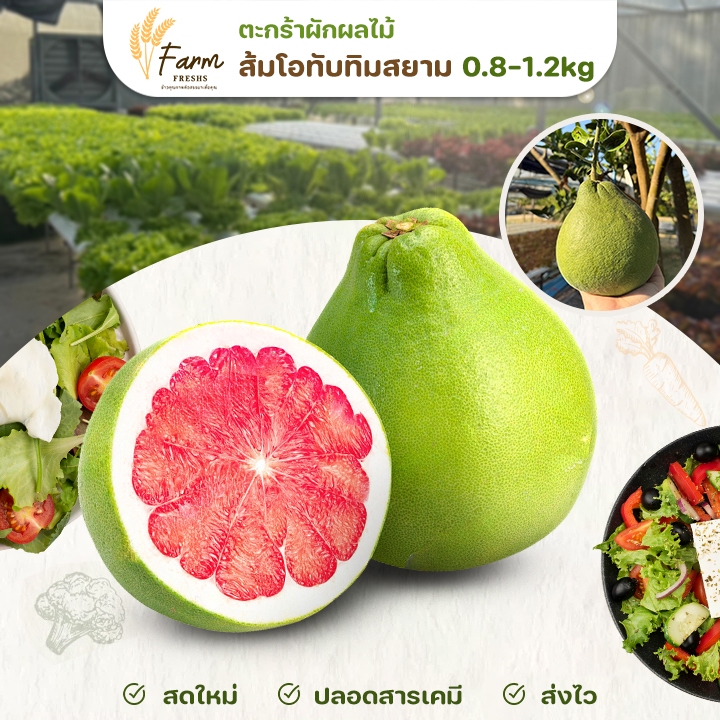ส่งฟรี ส้มโอทับทิมสยาม 0.8-1.2 kg ผลไม้ คัดเกรดพิเศษ ปลอดสารเคมี สดใหม่ ส่งตรงจากสวน farmfresh