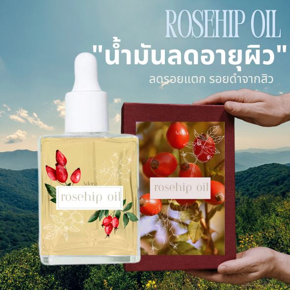 Rosehip Oil น้ำมันโรสฮิป น้ำมันนวดหน้า face oil ลดอายุผิว
