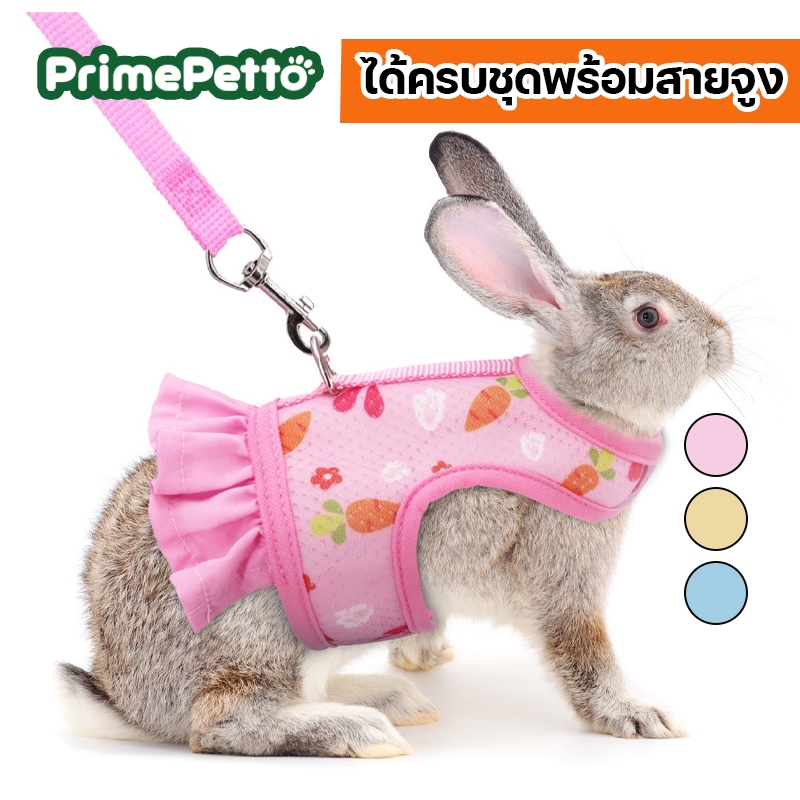 สายจูงกระต่าย สายจูงแมว เนื้อผ้านิ่มระบายอากาศดี ได้ครบชุดพร้อมสายจูง ใส่กระชับตัว รับแรงดึงได้ดี