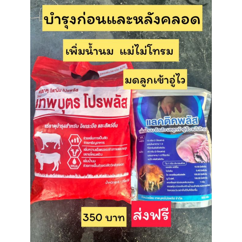 เทพบุตรโปรพลัส1กก.และแลคติกพลัส500กรัม