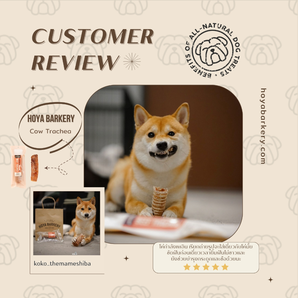 หลอดลมวัวอบแห้ง ขนมน้องหมา ธรรมชาติ 100% Dehydrated Beef Trachea Hoya Barkery Dog treat - รูปที่ 4