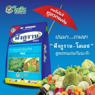 ฟังกูราน 1 กิโลกรัม ( คอปเปอร์ ) โรคแคงเกอร์มะนาว ส้ม ป้องกั…