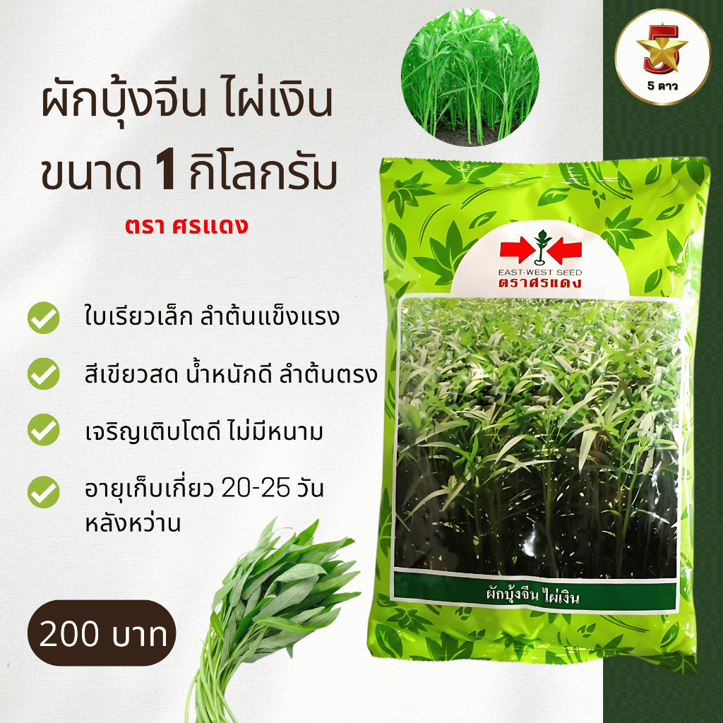 ผักบุ้งจีนไผ่เงิน 1 กก.