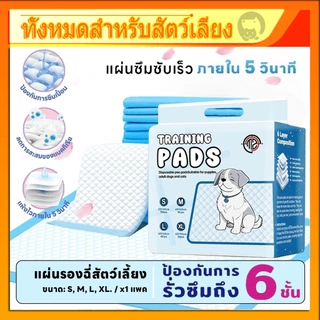 แผ่นรองฉี่สุนัข MZ แผ่นรองฉี่ แผ่นฝึกขับถ่าย ช่วยฝึกขับถ่าย ซึมซับได้ดี ดูดซับอย่างรวดเร็ว มีให้เลือก 4 Size