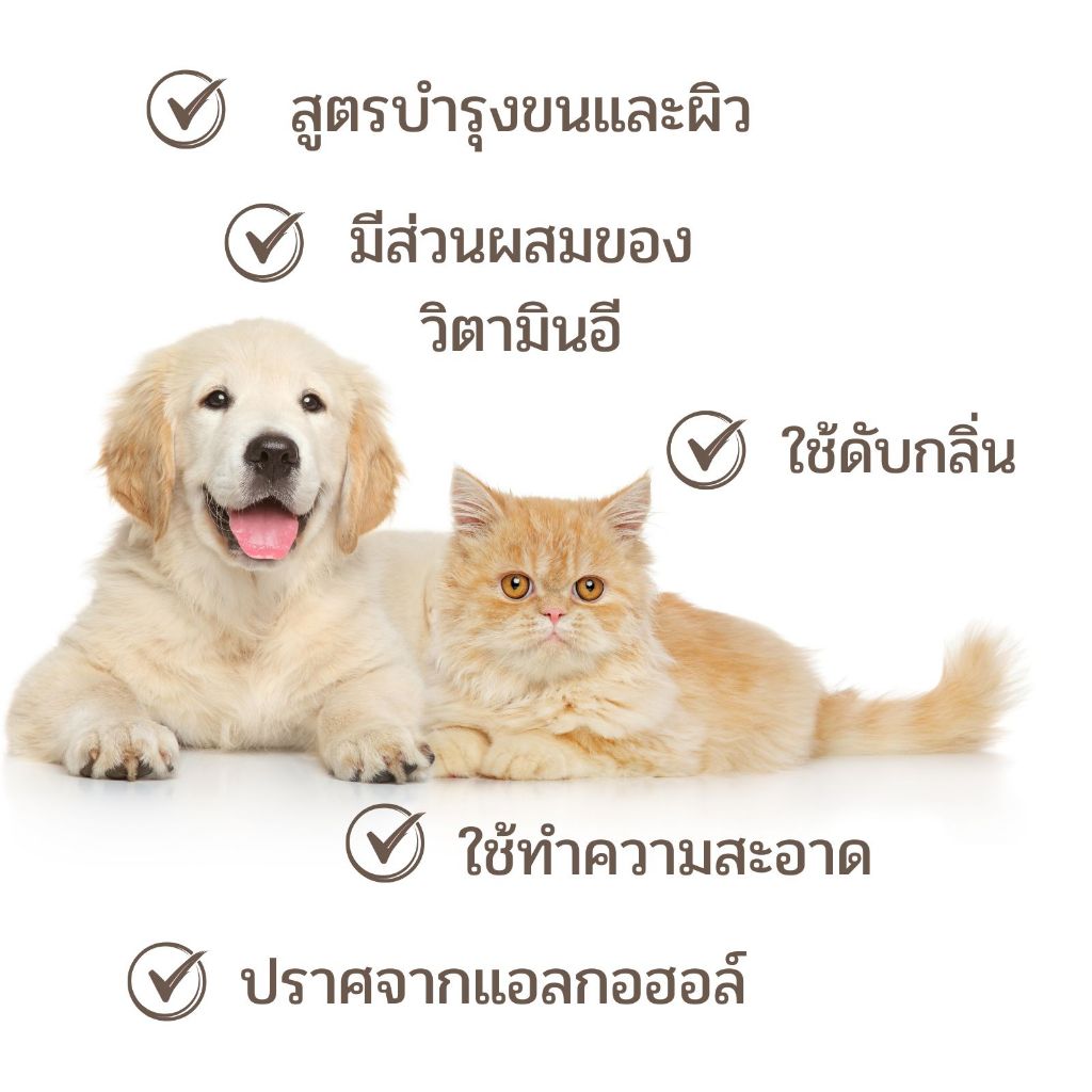 รูปภาพ 6