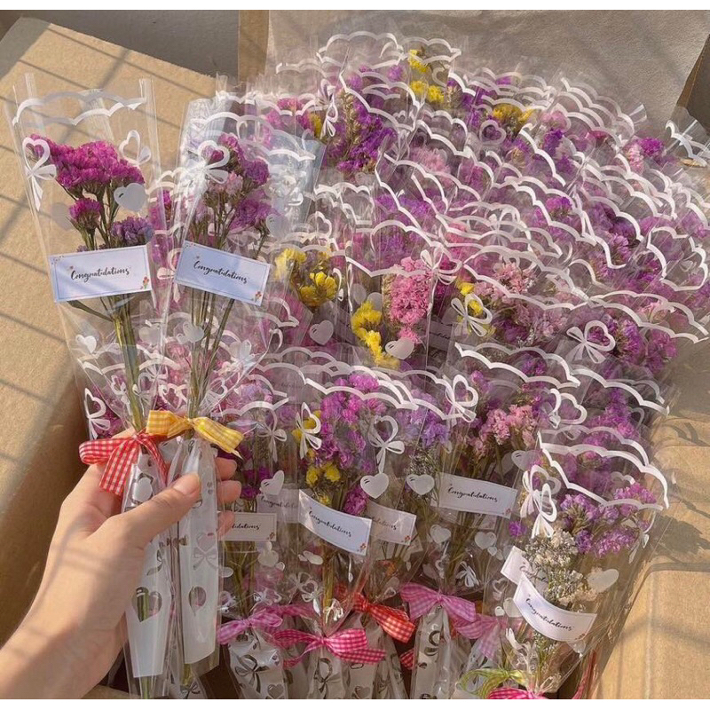พร้อมส่ง 💐ดอกไม้แห้งห่อซองใสพิมพ์ลาย ผูกริบบิ้นลายสก๊อตคละสี ช่อดอกไม้ปัจฉิม/รับปริญญา ของที่ระลึก🌟