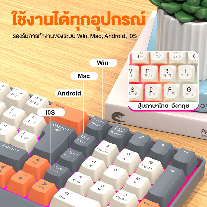 รูปภาพ 2