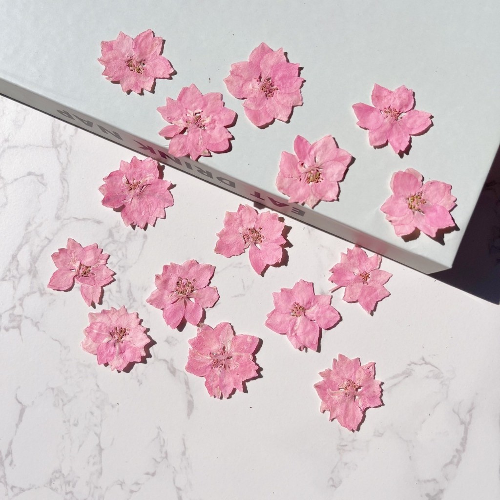 ดอกไม้แห้ง ดอกเดลฟิเนียม สีชมพูอ่อน | 15ดอก(1แผ่น)- สำหรับงาน DIY งานเรซิ่นและตกแต่งอื่นๆ