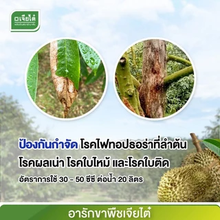 นิวฟอส กรด ฟอสโฟนิก ป้องกันรากเน่าโคนเน่า ขนาด1ลิตร จาก บ.เจียไต๋ ฝังเข็มทุเรียน ฝังเข็มต้นทุเรียน