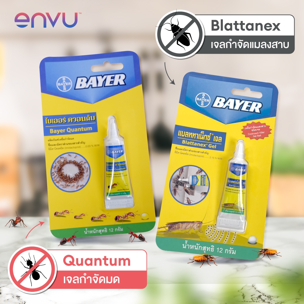 Quantum เจลกำจัดมด 12 กรัม + Blattanex Gel เจลกำจัดแมลงสาบ 12 กรัม แพ็คคู่