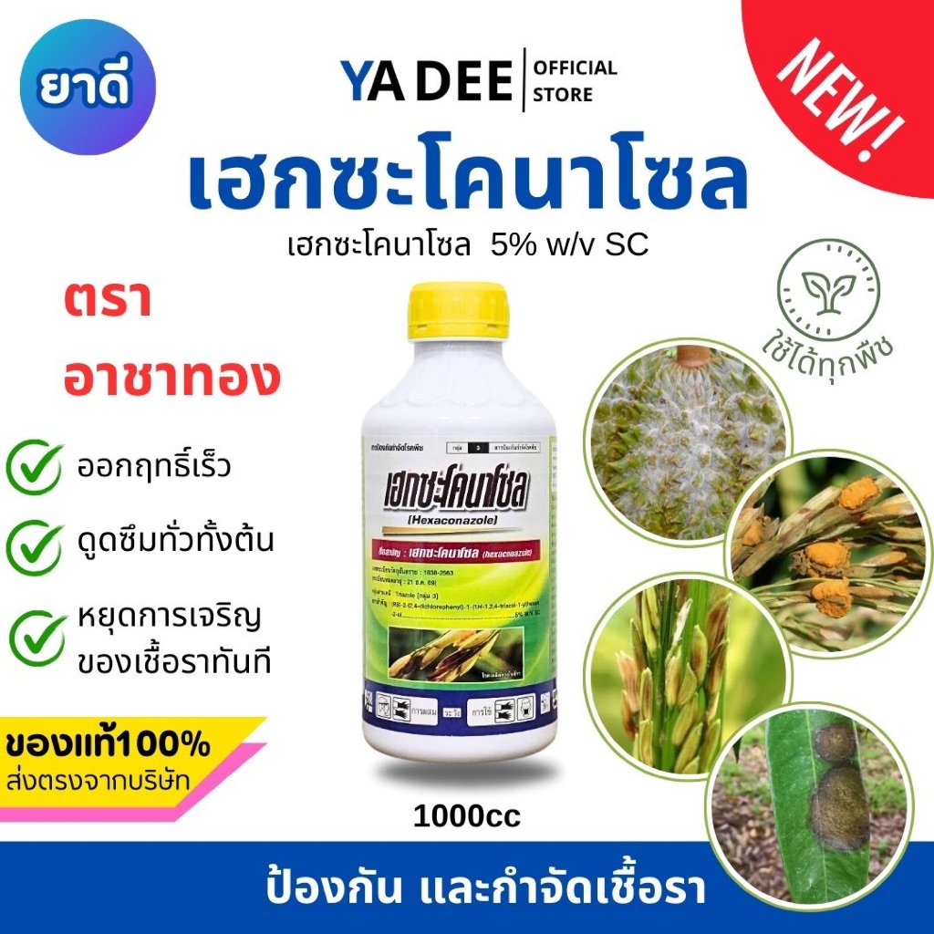 [ยาเชื้อราฝาเหลือง] เฮกซะ อาชาทอง คุ้มค่า ราคาประหยัด เฮกซะโคนาโซล