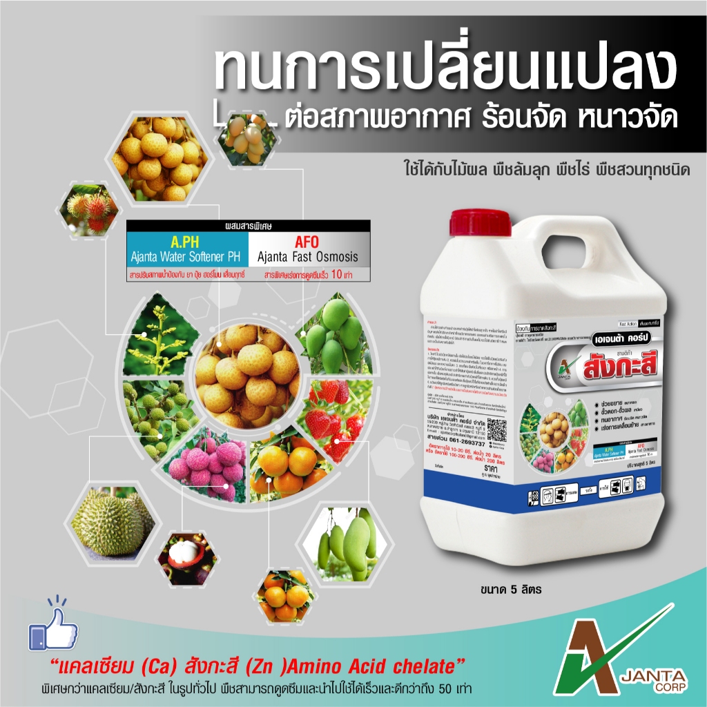 สังกะสี ปุ๋ยน้ำทางใบ แก้ปัญหาใบแก้ว ใบลาย ใบเหลือง ต้นพืชแคระแกร็น ต้านหนาวจัด ทนร้อนจัด (5 ลิตร)