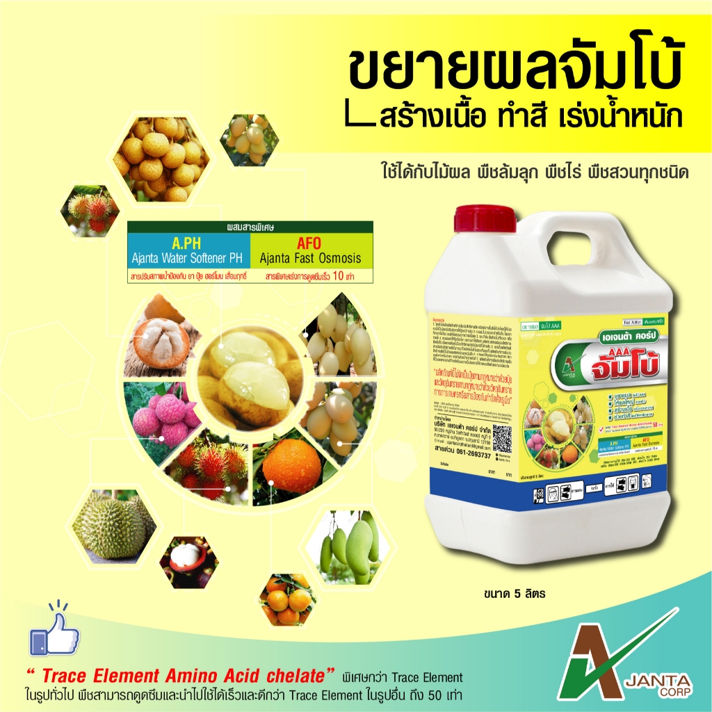 จัมโบ้ AAA ขยายผลใหญ่ สร้างเนื้อ เพิ่มความหวาน ช่วยทำสี ขัดสีให้เหลืองทอง เพิ่มน้ำหนักผล  เอเจนต้า คอร์ป (5 ลิตร)