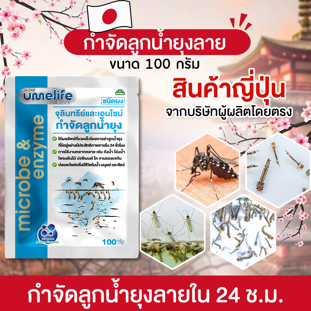 อูเมะไลฟ์ กำจัดลูกน้ำยุง 100 กรัม กำจัดลูกน้ำยุง ยุงลาย ไม่มีสารเคมี กำจัดลูกน้ำได้ไว เห็นผลไว