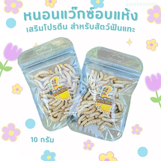 หนอนแว๊กซ์อบแห้ง (ฟรีซดราย) หรือหนอนน้ำผึ้งฟรีซดราย สำหรับชูการ์ไกรเดอร์ แฮมเตอร์ กระรอก เม่นแคระ ดอร์เมาส์