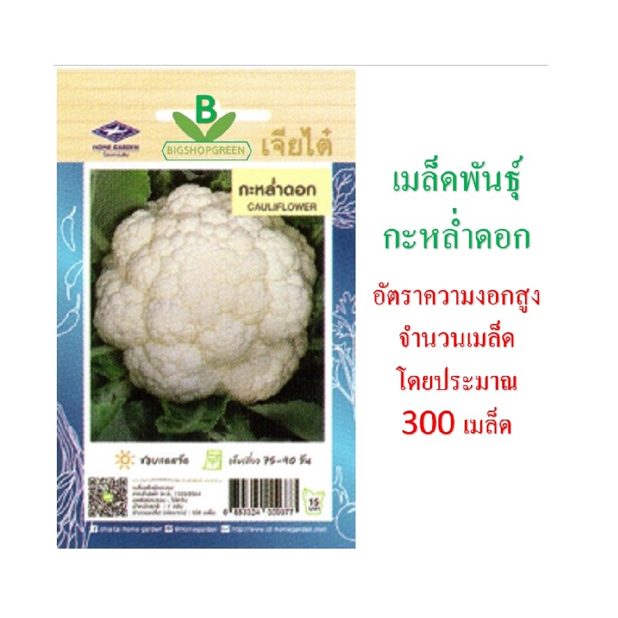 5 ฟรี 1 คละได้ เมล็ดพันธุ์ กะหล่ำดอก เจียไต๋ อัตราความบงอกสูง จำนวน 300 เมล็ดโดยประมาณ