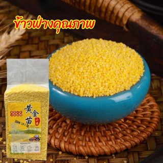 🌾ข้าวฟ่างตุณภาพ เพื่อสุขภาพ คุณค่าทางโภชนาการสูง โจ๊กข้าวฟ่า…