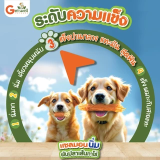 Get Well แซลมอนนิ่มพันปลาเส้นทาโร่ 350 g ขนมแทะเล่นขัดฟัน แพ้ไก่กินได้ สำหรับสุนัข