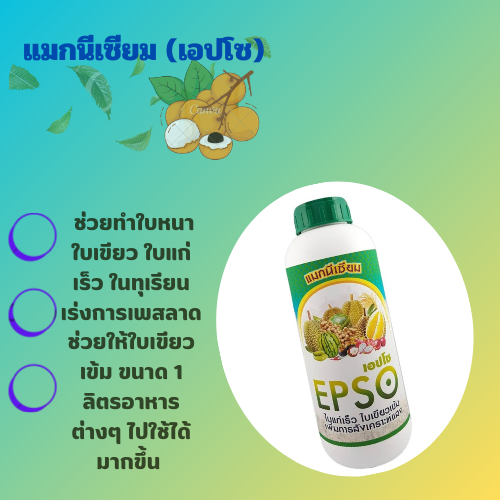 แมกนีเซียม คีเลต (เอปโซ) 1 ลิตร Mg EDTA  ช่วยทำให้ใบพืชมีสีเขียวเข้มสมบูรณ์ ช่วยในการสร้างพลังงาน ดูดซึมสารอาหารต่างๆ