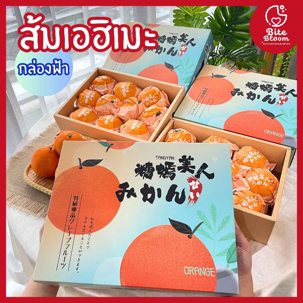 ส้มเอฮิเมะยกลัง (1กล่อง 7-10ลูก) ส้มสายพันธุ์ญี่ปุ่น กล่องฟ้า ส้มเนื้อเยลลี่ ไร้เมล็ด ส้มเอฮิเมะสด นำเข้าล็อตใหม่