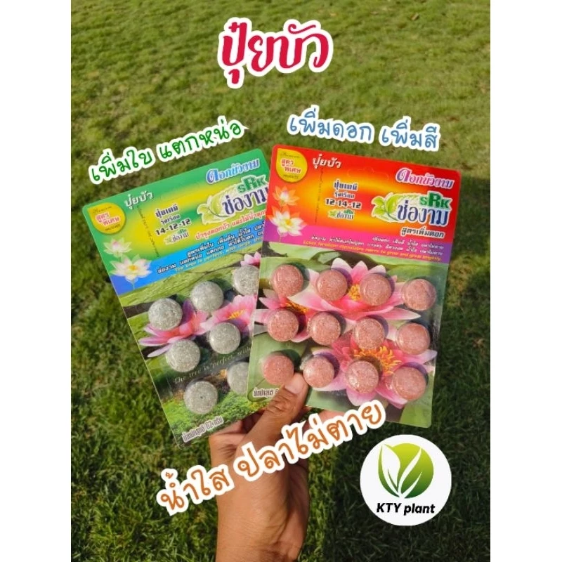 ปุ๋ยบัว เพิ่มดอก เพิ่มสี เพิ่มใบ แตกกอ น้ำใสไม่ขุ้น