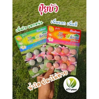 ปุ๋ยบัว เพิ่มดอก​ เพิ่มสี เพิ่มใบ แตกกอ น้ำใสไม่ขุ้น