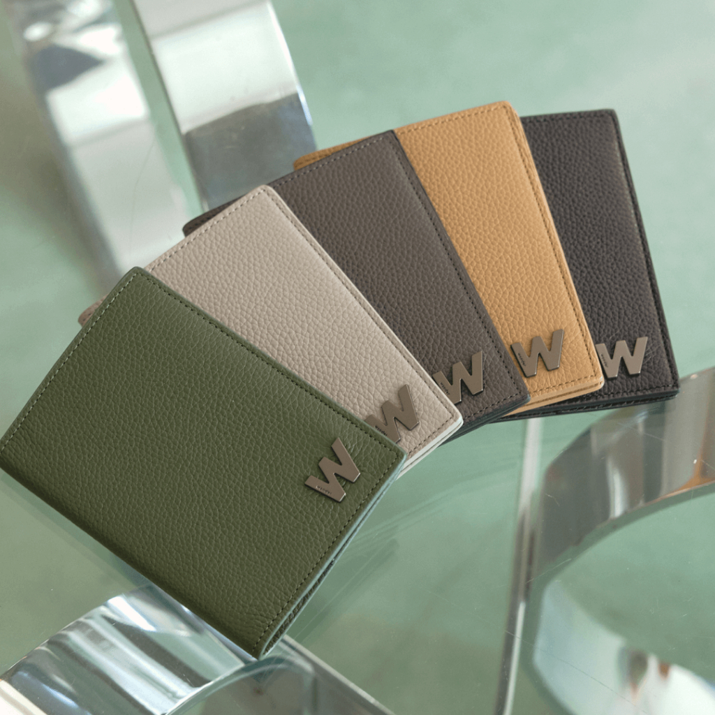 Wander Sleek Passport Card Case