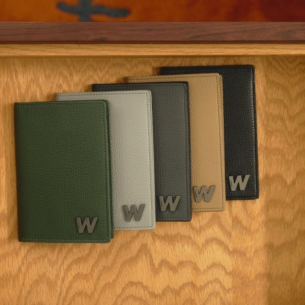Wander Sleek Passport Card Case