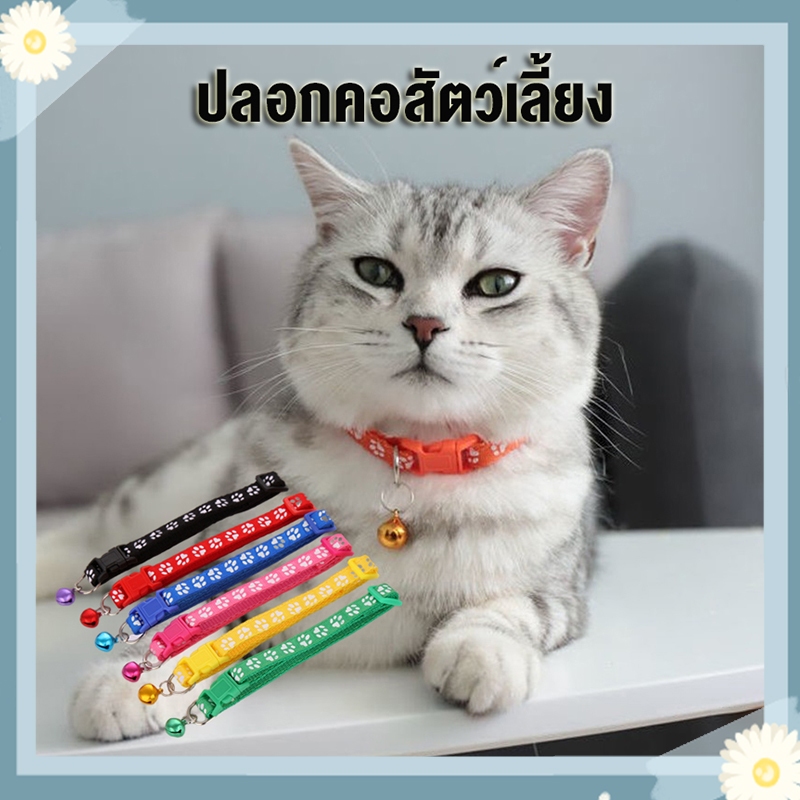 รองรับ COD ปลอกคอสัตว์เลี้ยง ปลอกคอกระดิ่ง ปลอกคอลูกแมว กระดิ่ง สายรัดปรับได้ ดีไซน์หรูหรา น่ารัก