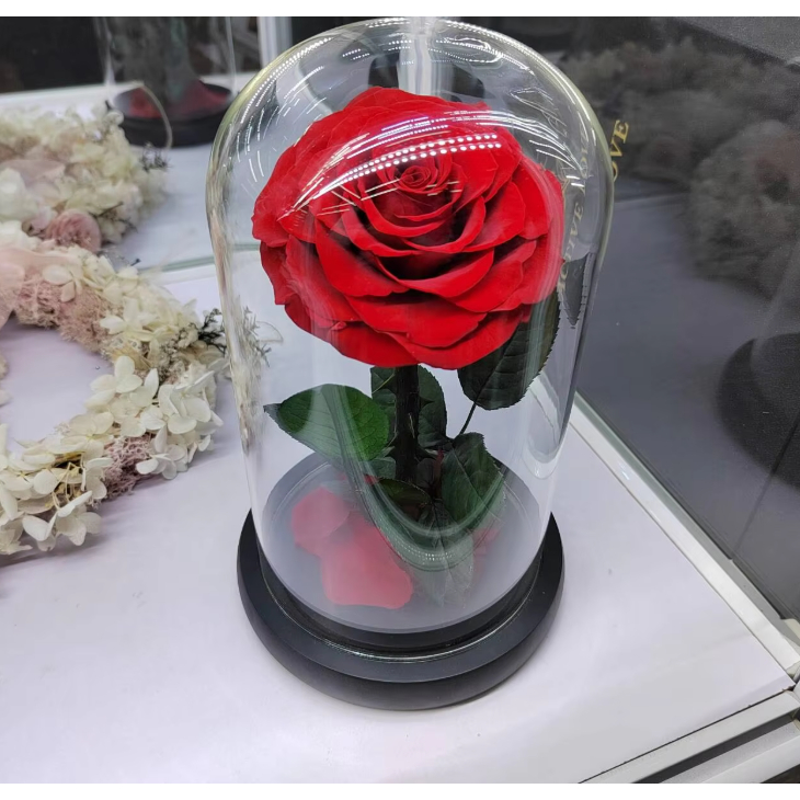 กุหลาบรักนิรันดร์...ในโดมแก้ว Eternal Rose in Glass Dome