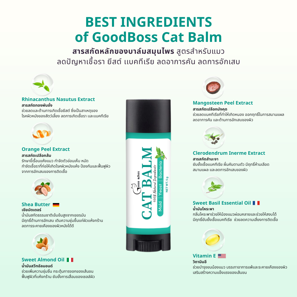 รูปภาพ 6