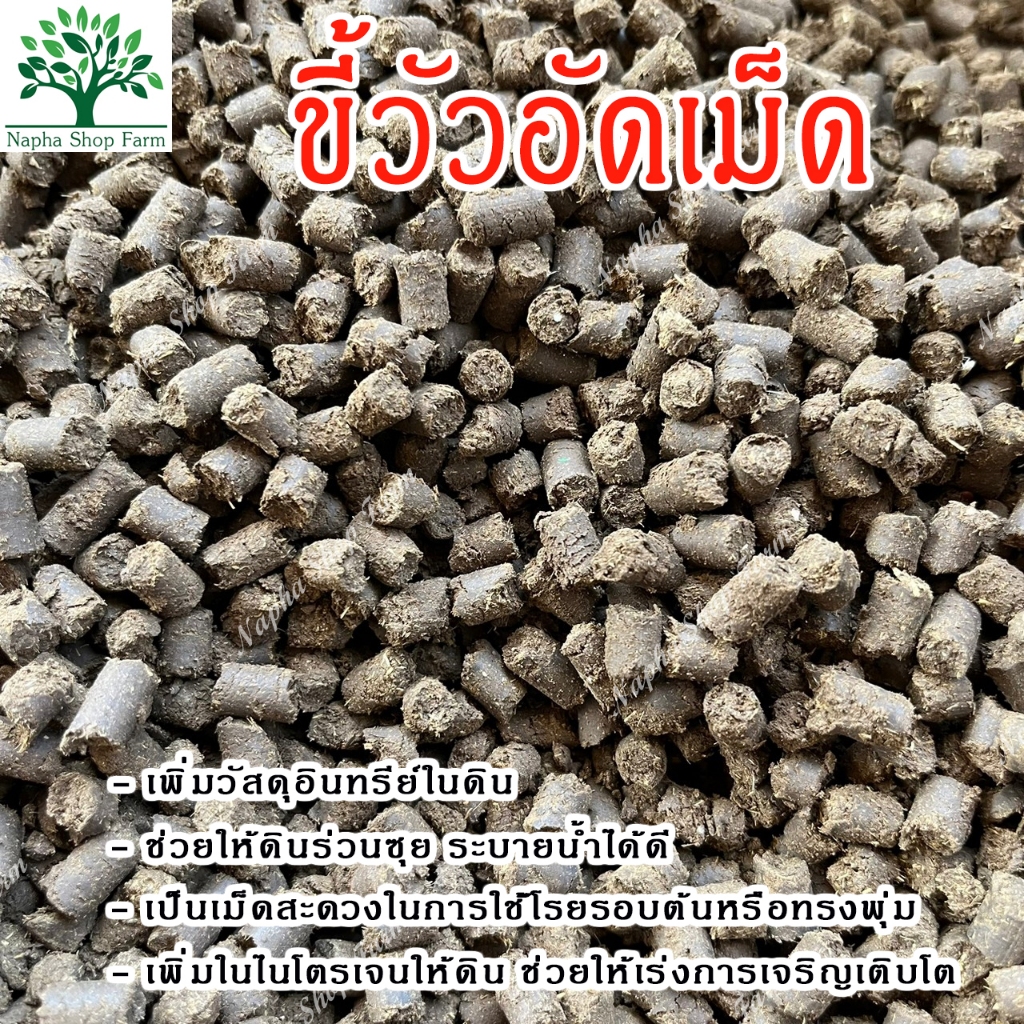 ขี้วัวหมัก อัดเม็ด 2 กิโลกรัม ปุ๋ยขี้วัว ปุ๋ยคอก ปุ๋ยอินทรีย์ บำรุงพืชผัก บำรุงใบ บำรุงดิน