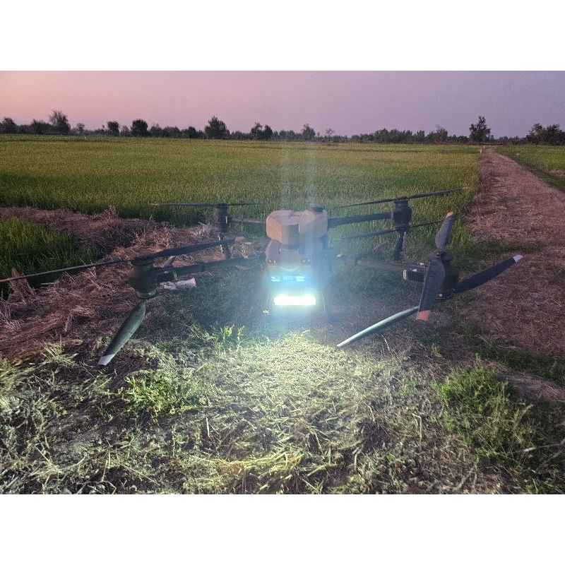 รูปภาพ 7